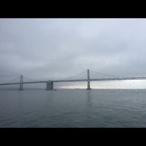 Meet your Posher, Paige